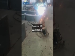 Sri Lanka Steel Workshop với dự án Crane